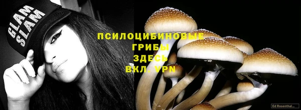 герыч Белокуриха