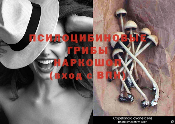 дживик Беломорск