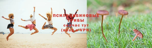 прущая мука Белоозёрский