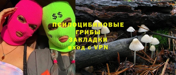 дживик Беломорск