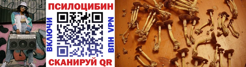 наркотики  hydra ТОР  Псилоцибиновые грибы MAGIC MUSHROOMS  Курильск 